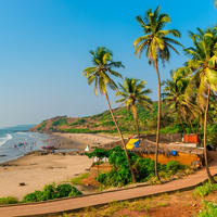 Activities in Goa